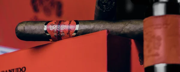 MACANUDO INSPIRADO ORANGE SINGLE