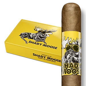 SHADY-MOOSE