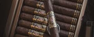 TEMPUS NATURAL